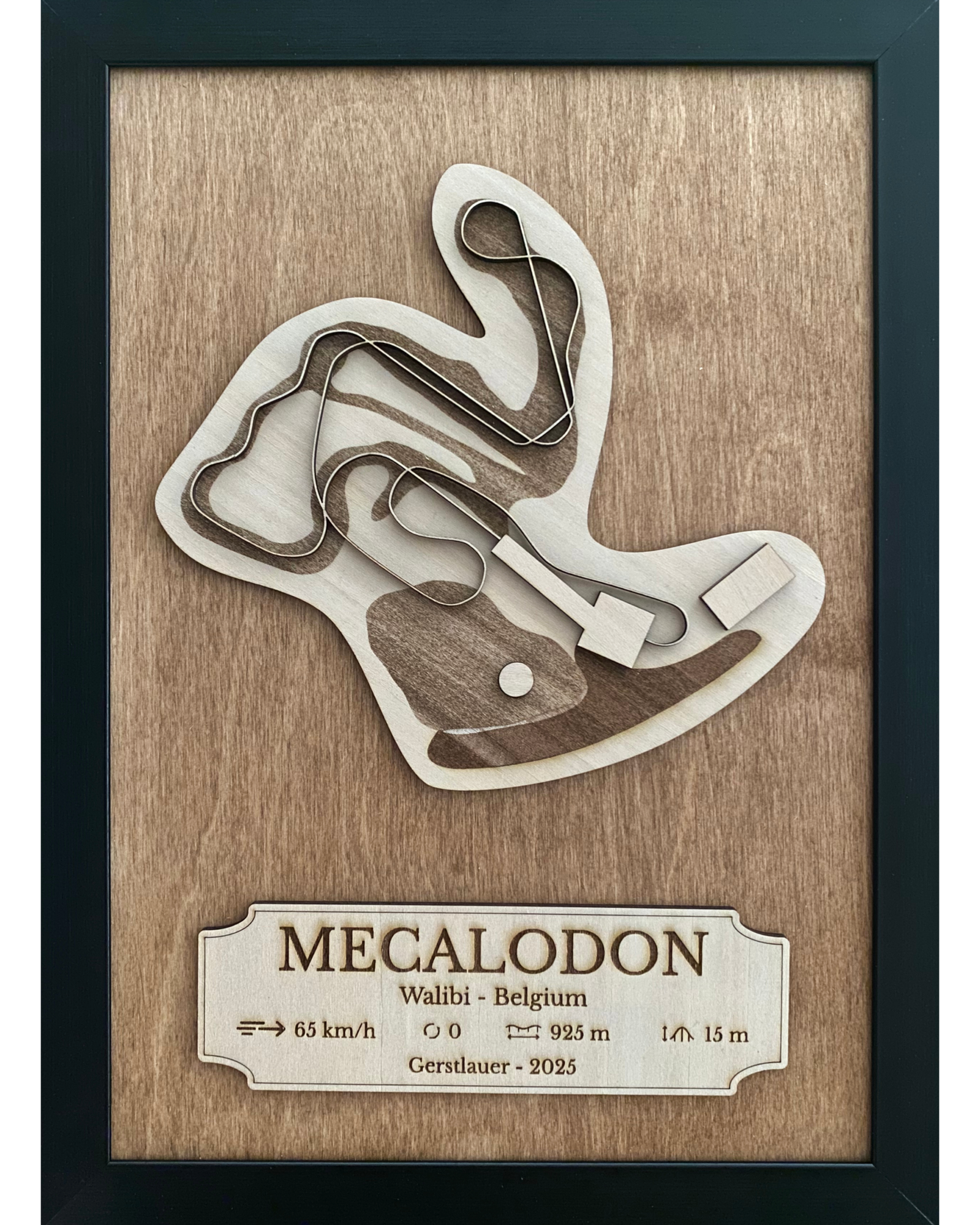 Cadre en bois Becoastr représentant le tracé de Mecalodon.